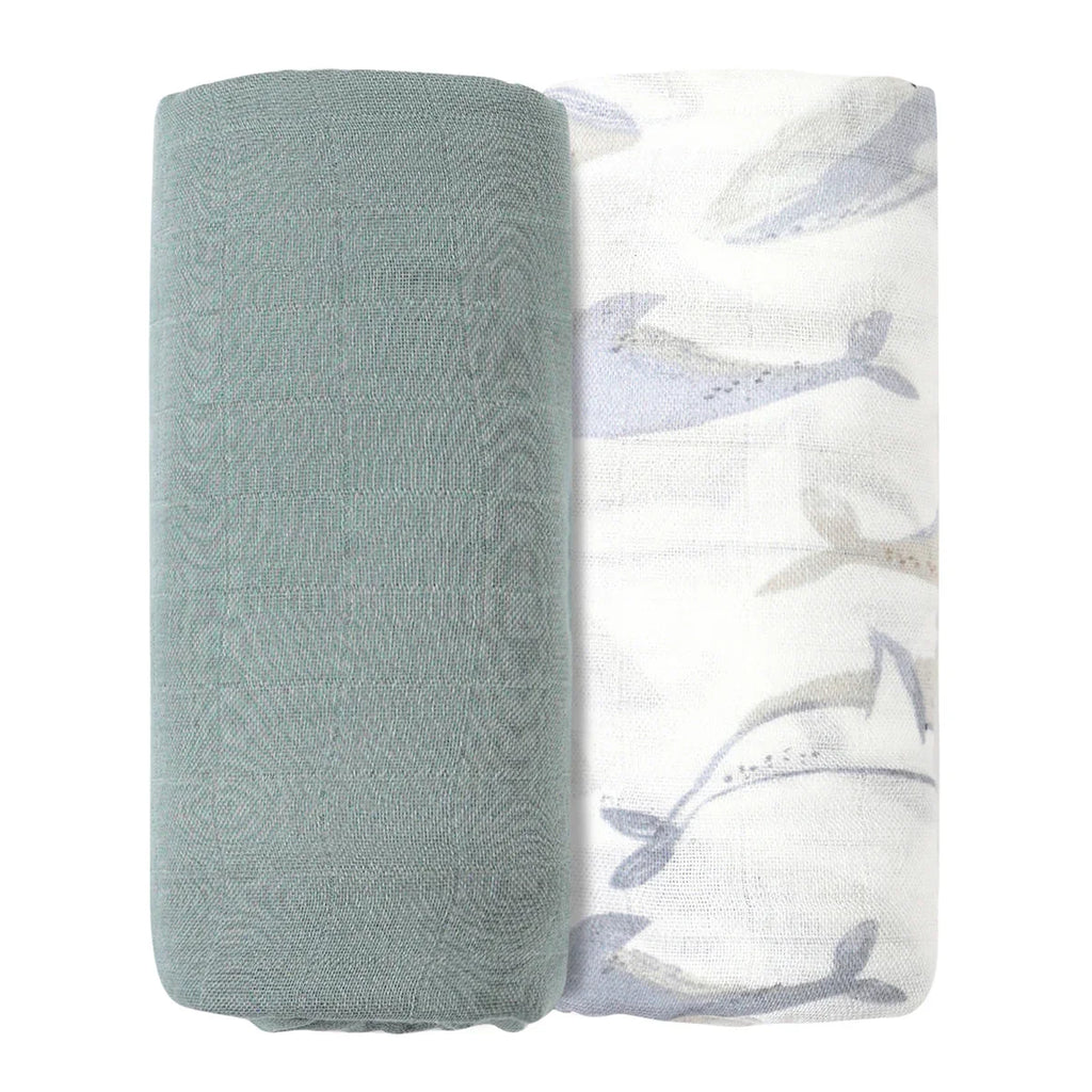 דואט טטרות במבוק בשילוב כותנה