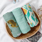 טריו טטרה במבוק כותנה