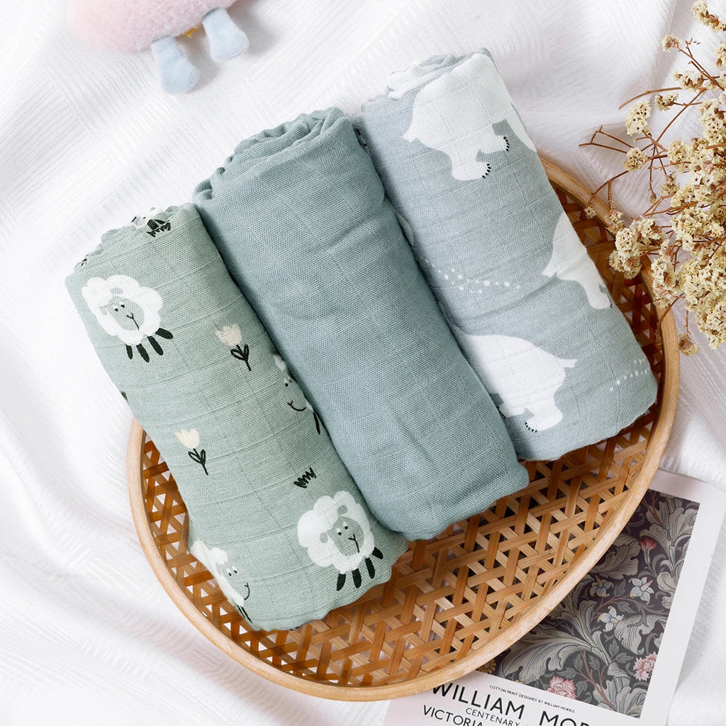 טריו טטרה במבוק כותנה