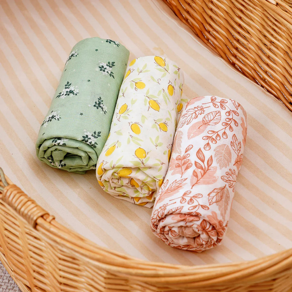 סט טטרות מכותנה