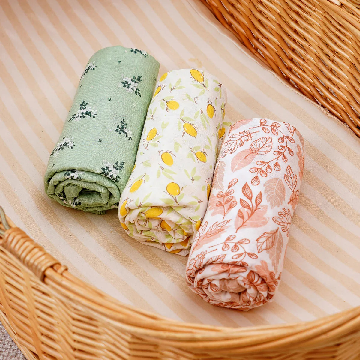 סט טטרות מכותנה