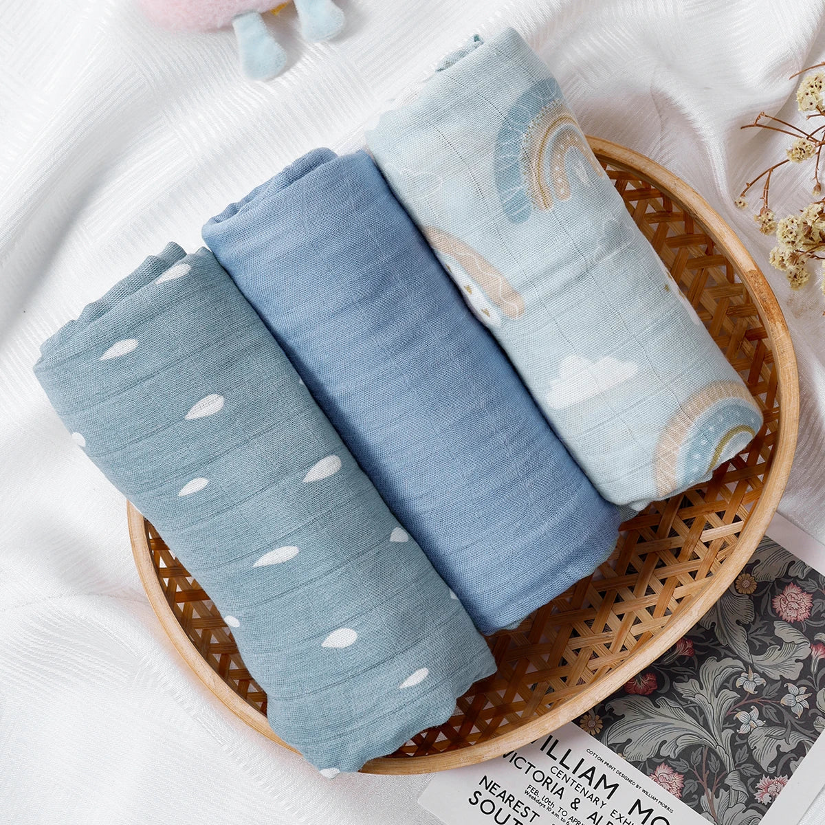 טריו טטרה במבוק כותנה